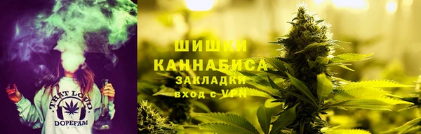 PSILOCYBIN Чердынь