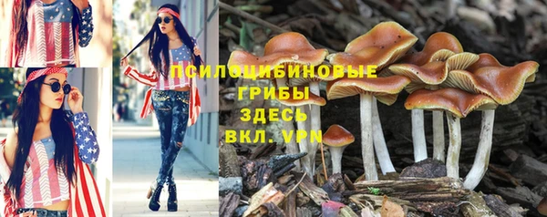 соль курить ск Кукмор