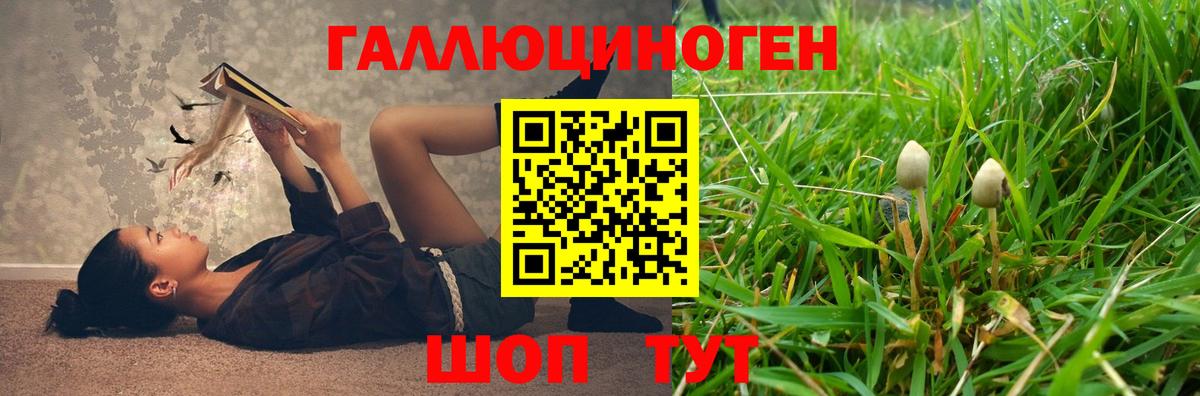 Псилоцибиновые грибы Psilocybe  Вход с VPN  закладка  Пенза  Галлюциногенные грибы Cubensis 